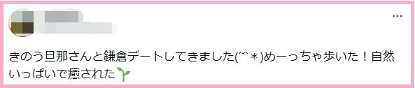 きのう旦那さんと鎌倉デートしてきました(´˘`*)めーっちゃ歩いた!自然いっぱいで癒された🌱